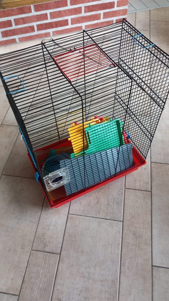 hamsterkooi met accessoires 53 x 40 x 25 cm, Animaux & Accessoires, Moins de 60 cm, Cage, Comme neuf, Hamster