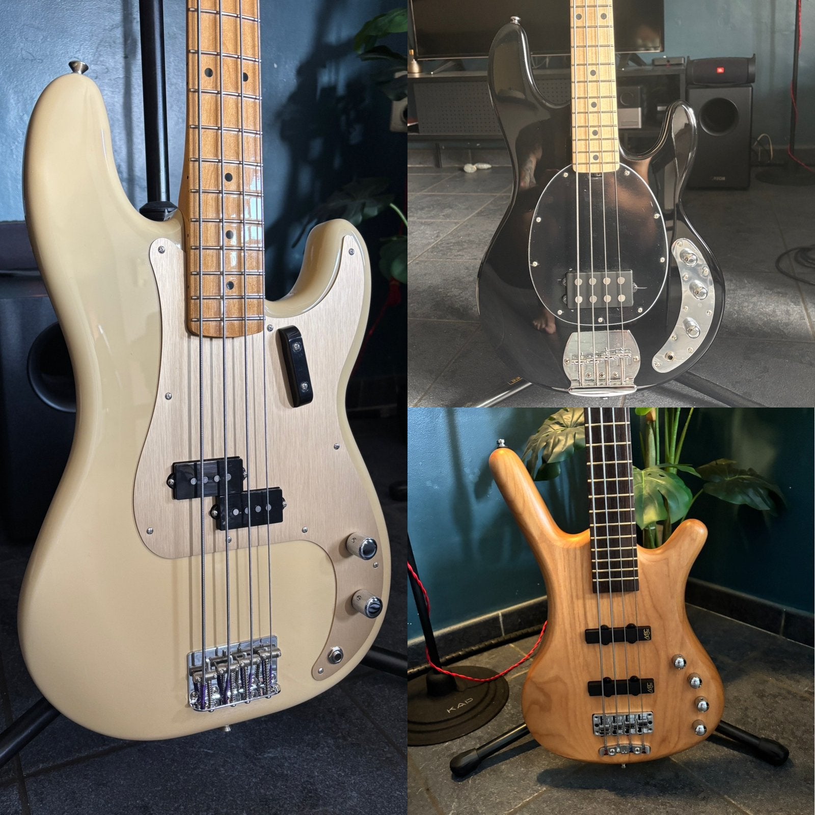 Bas opruiming! Fender - Warwick - Sterling, Musique & Instruments, Enlèvement ou Envoi, Comme neuf