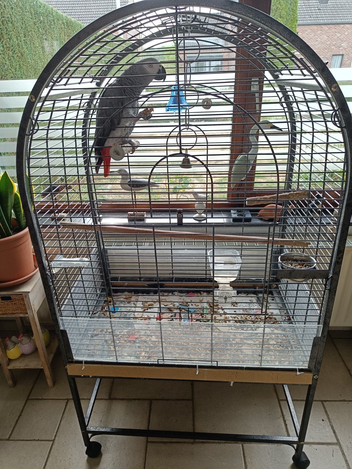Cage complète et accessoires faire offre, Ophalen, Gebruikt, Metaal, Vogelkooi