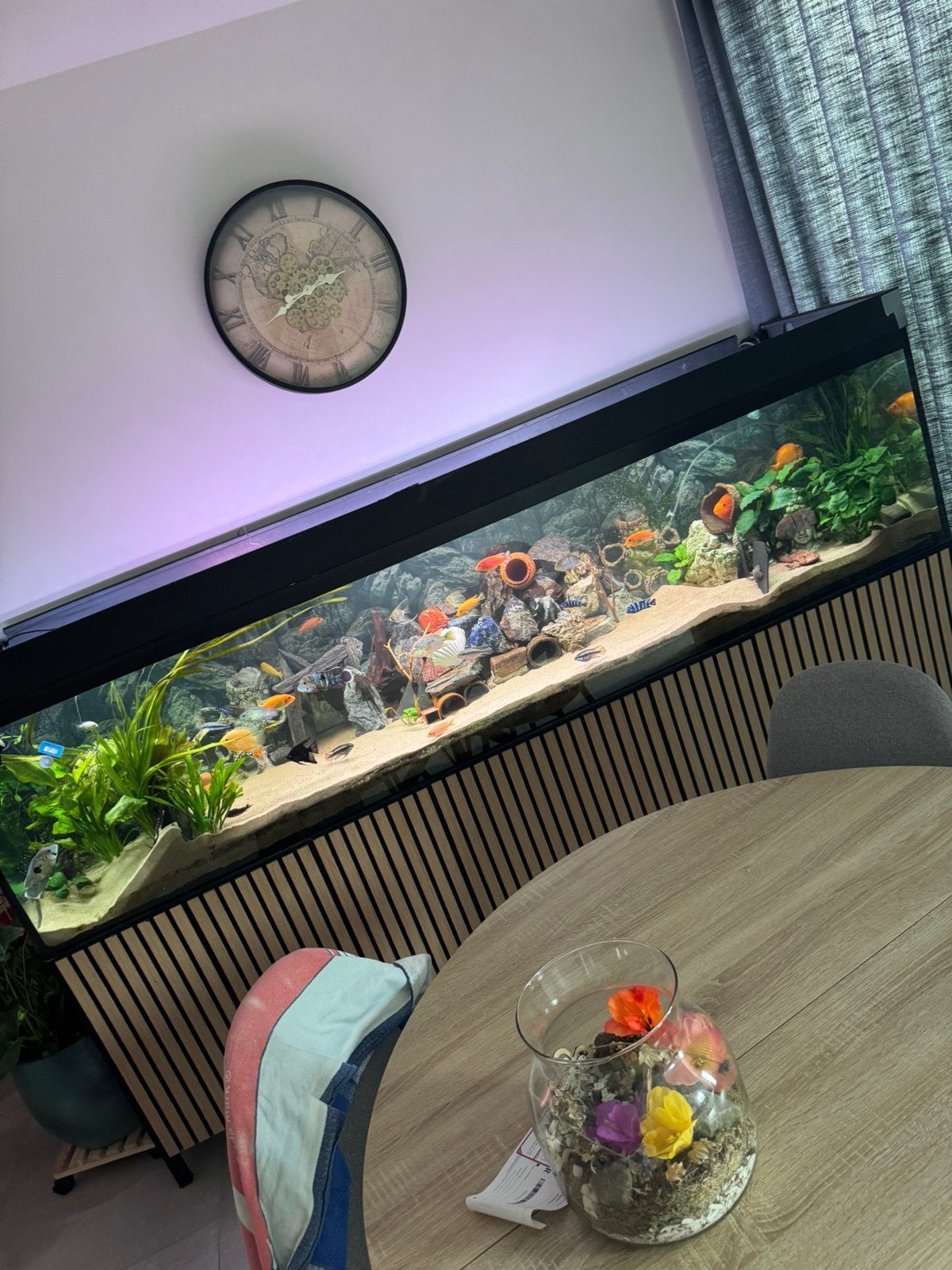 Aquarium tekoop 1000 liter, Ophalen, Zo goed als nieuw, JBL