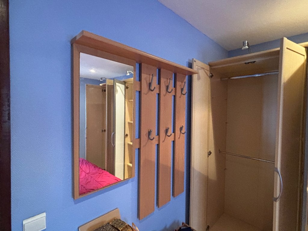 Miroir /Porte manteaux, Maison & Meubles, Moins de 100 cm, Enlèvement, Utilisé, Rectangulaire