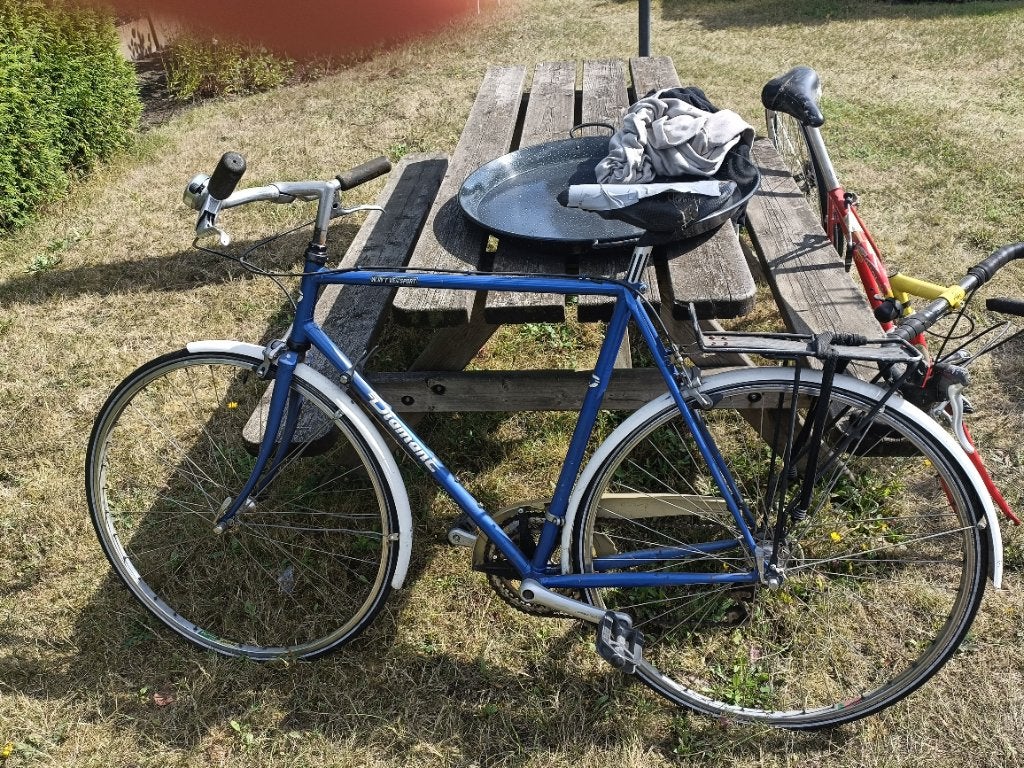 Fiets, Gebruikt, Velgrem, 53 tot 57 cm, Ophalen