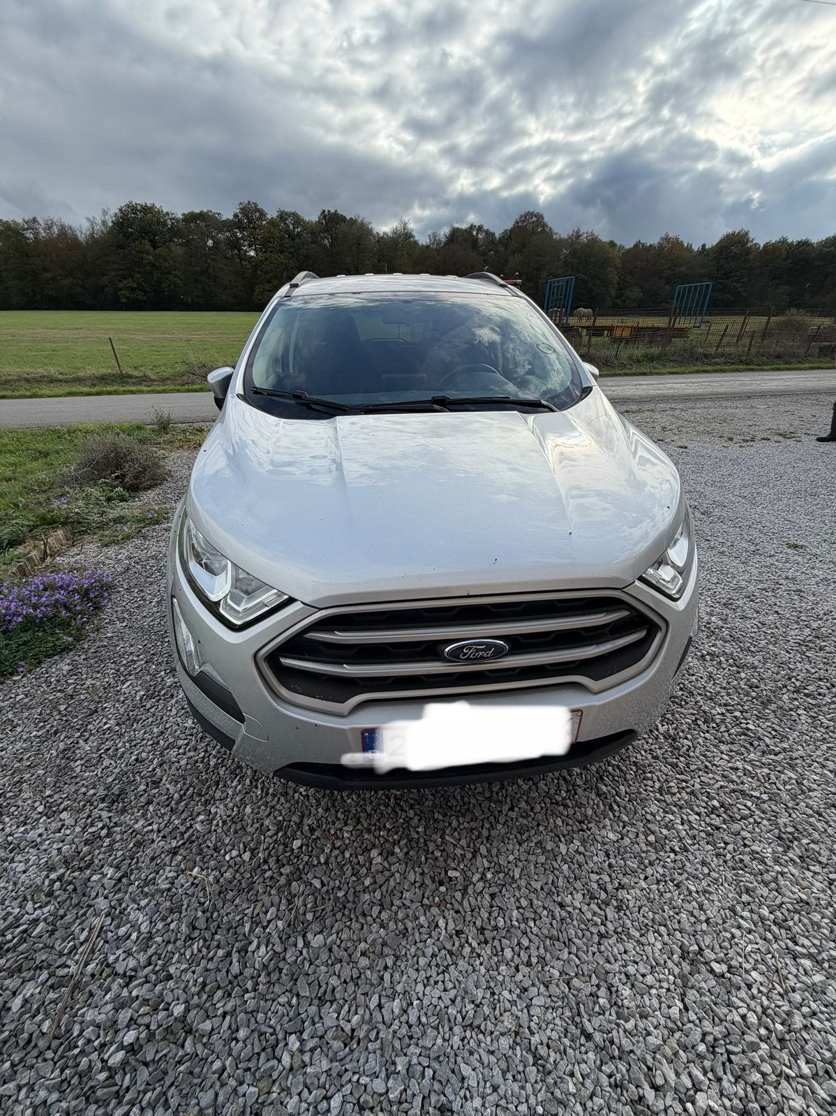 Ford ecosport, Volant multifonction, Argent ou Gris, Achat, Euro 6