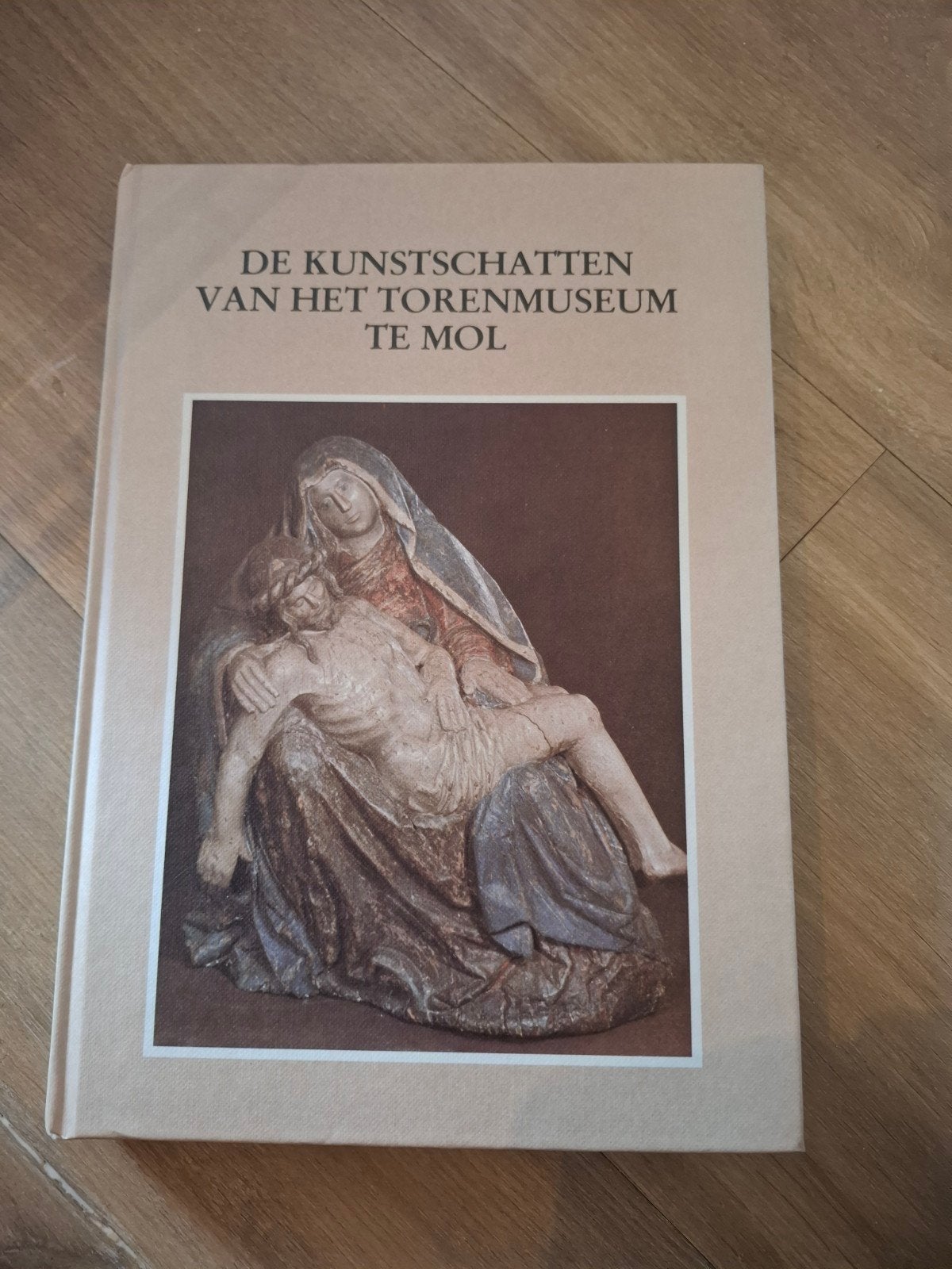 de kunstschatten van het torenmuseum te Mol, Boeken, Geschiedenis | Stad en Regio, Ophalen