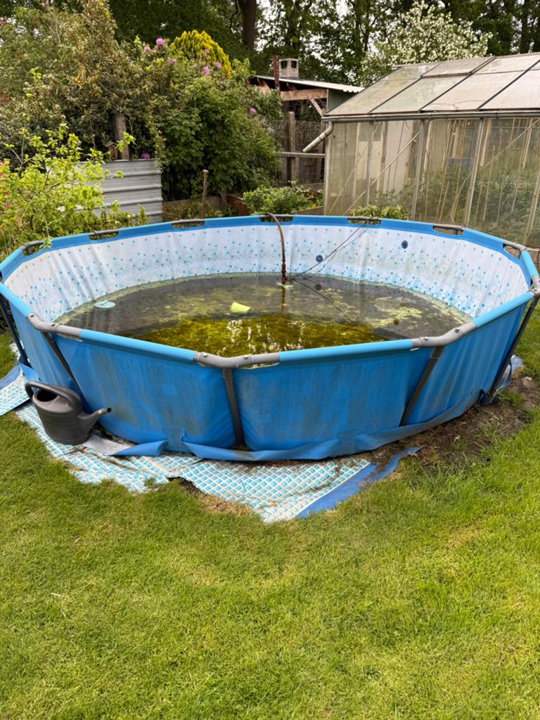 Piscine entièrement gratuite, Enlèvement, Comme neuf