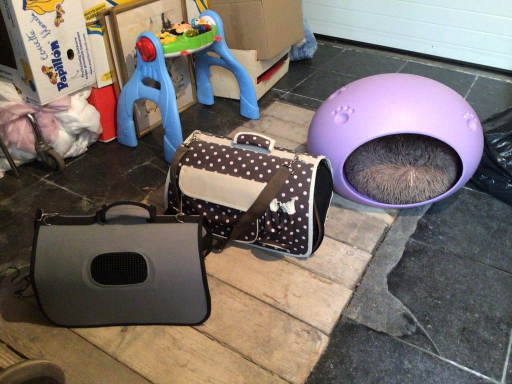 Sac de transport pour chat prix different, Enlèvement, Comme neuf