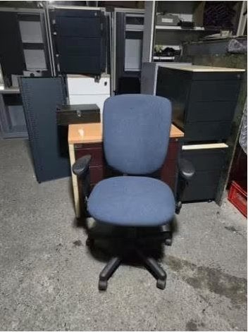 Chaise de bureau Pro ergonomique
