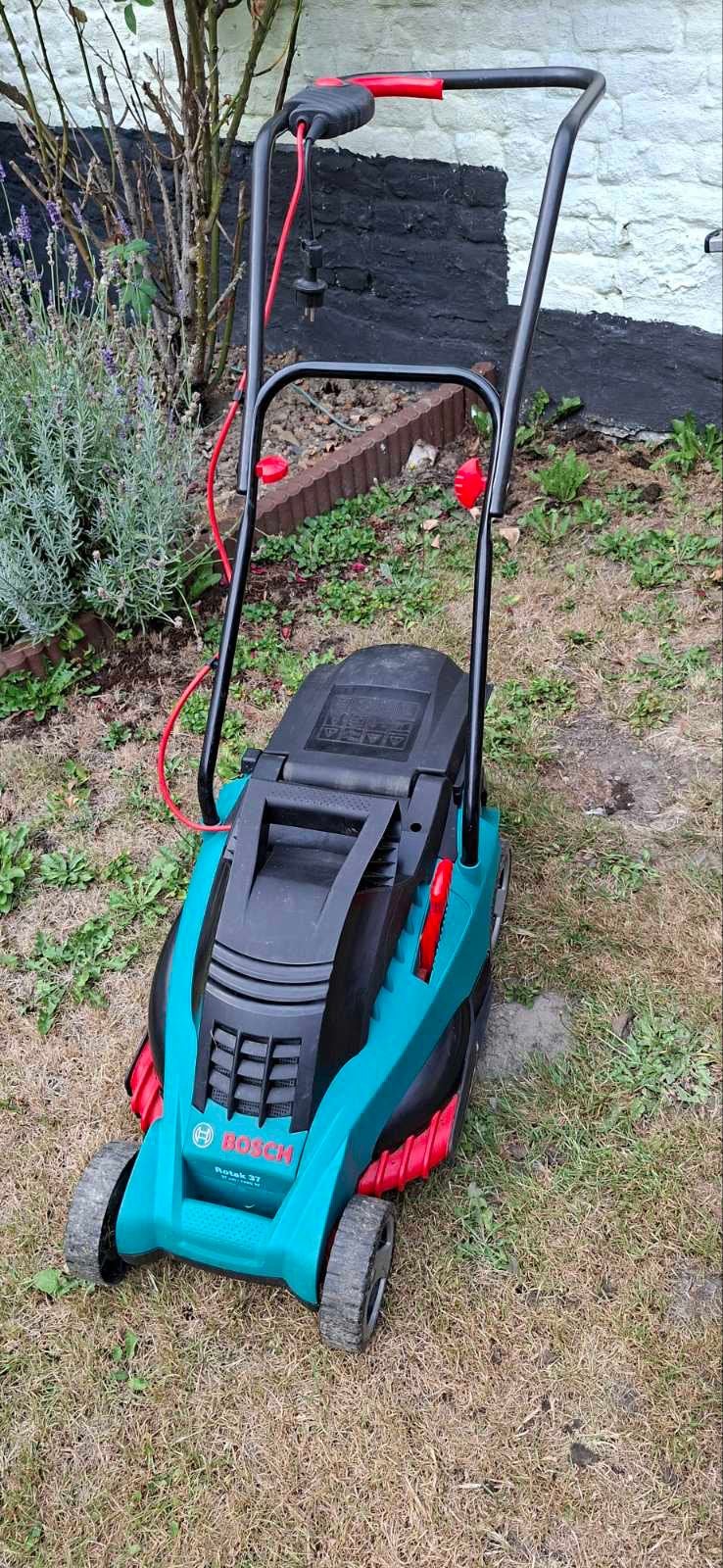 Tondeuse à gazon électrique, BOSCH ROTAK 37cm,Bac + Mulshing, Jardin & Terrasse, Tondeuses à gazon, Tondeuse rotative, 30 à 39 cm