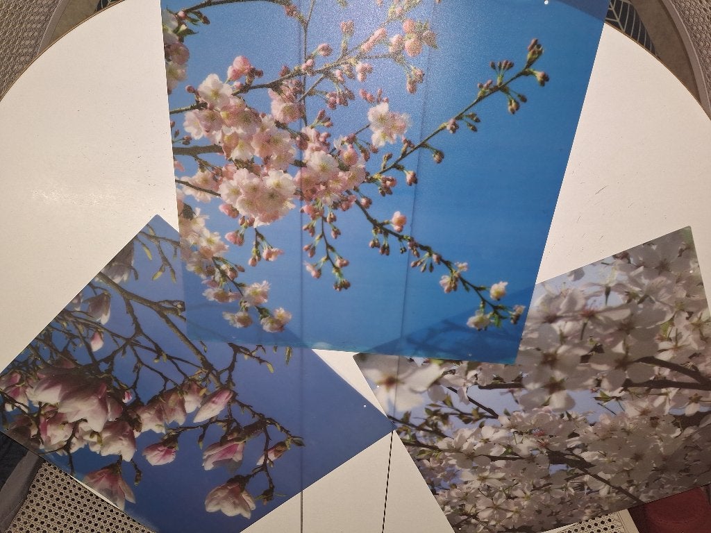 3 blossom deco platen, nieuwstaat, Meerkleurig, Nieuw, Ophalen of Verzenden, Wandbord of Wandpaneel
