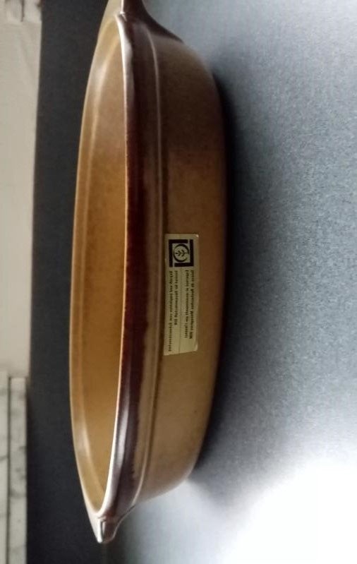 Swiss : grote braadslede gratin ovenschaal 34cm /23cm /6,5cm, Ophalen of Verzenden, Nieuw, Keramiek, Schaal of Schalen