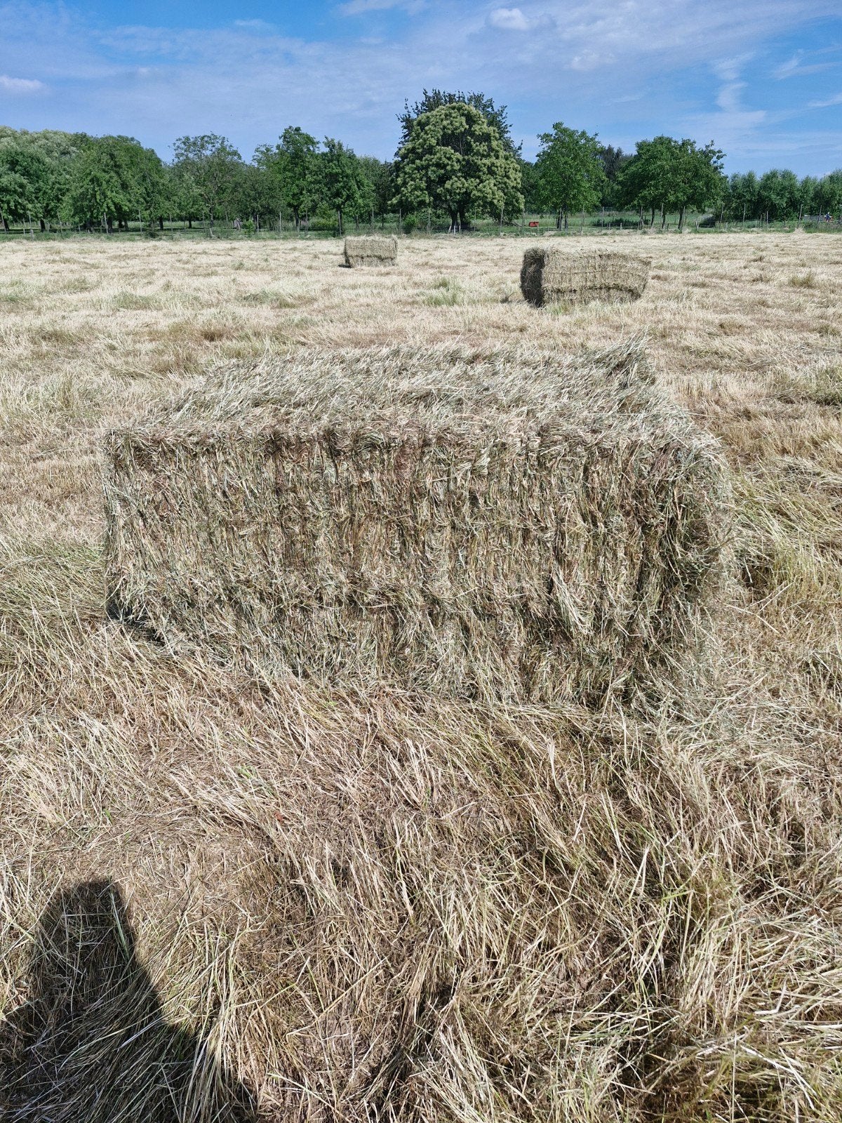 Hooi 2de snee, Ophalen of Verzenden
