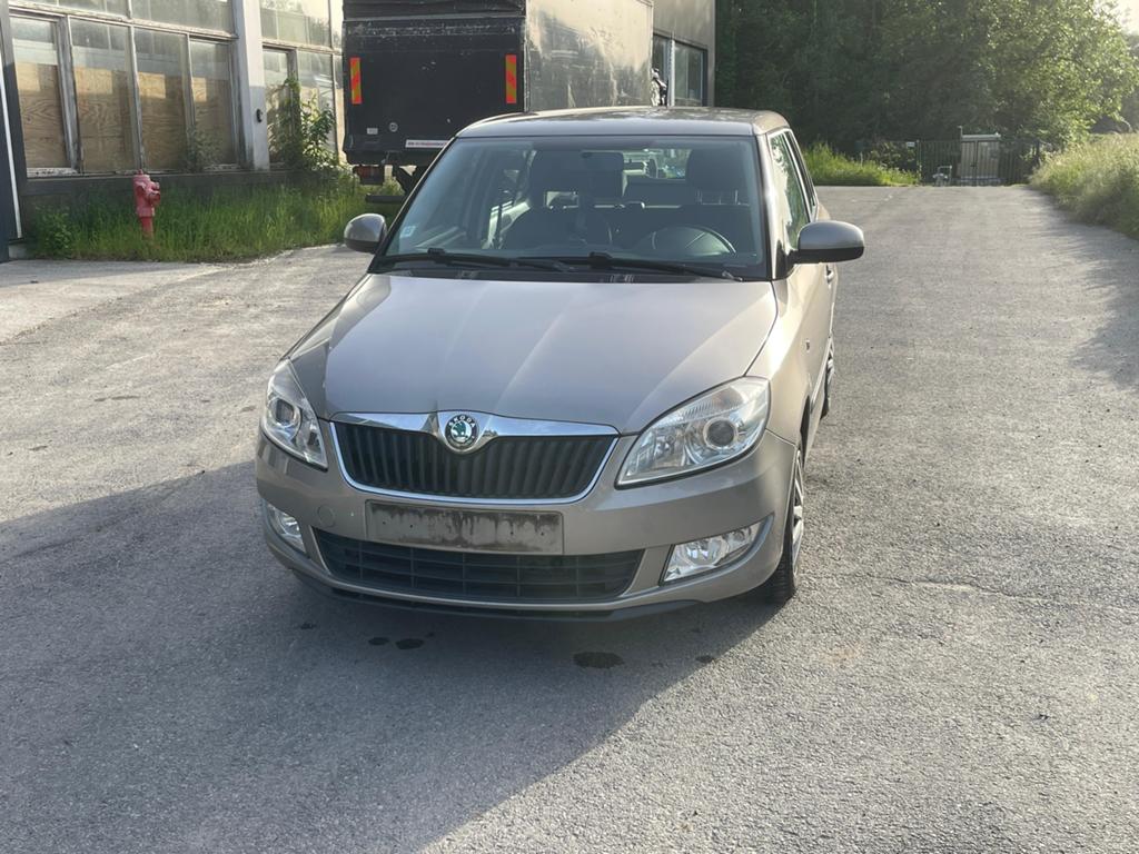 Skoda fabia, Auto's, Euro 5, Diesel, 5 deurs, Particulier