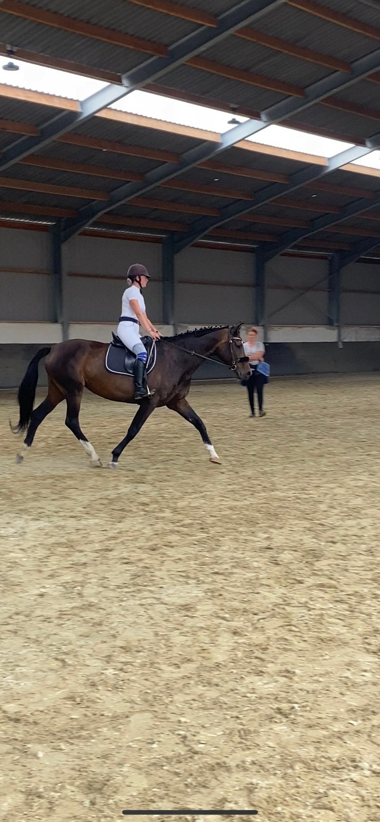 Selle, Enlèvement, Utilisé, Dressage