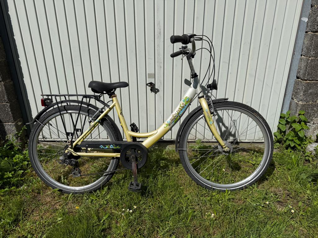 Kinderfiets 26 inch Golden Lion, Ophalen