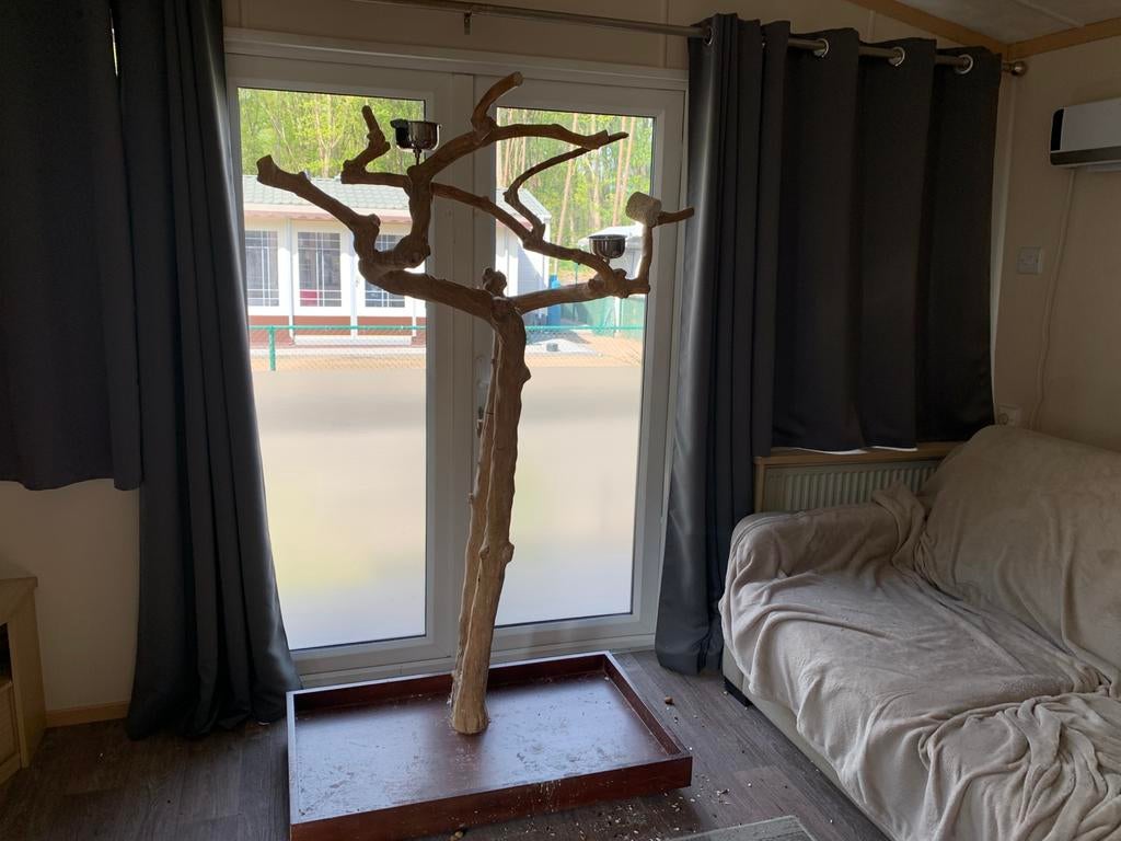 Papegaai stok te koop zo hoed als nieuweuro, Immo