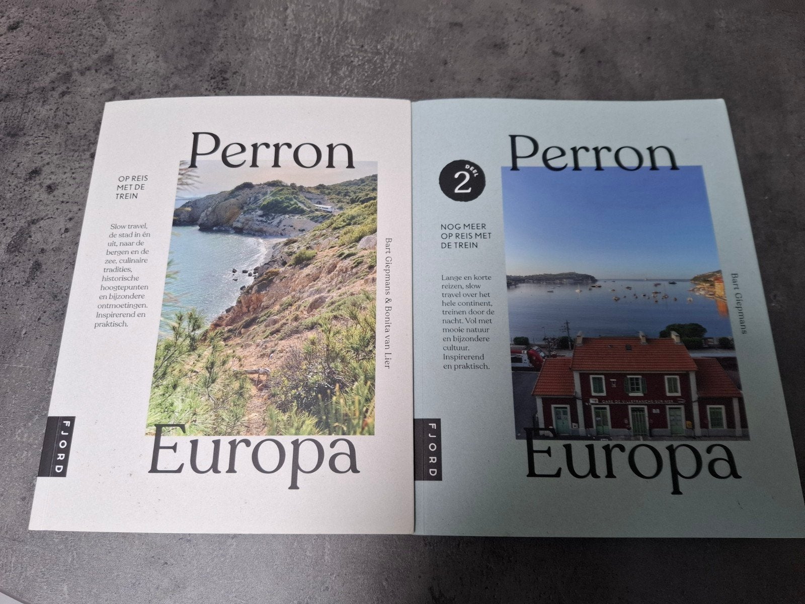 Bart Giepmans - Perron Europa 2, Ophalen of Verzenden, Bart Giepmans
