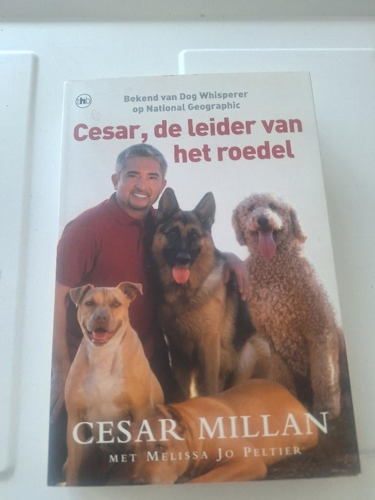 Boek: cesar, De leider van het roed, Boeken, Ophalen, Gelezen, Cesar Millan