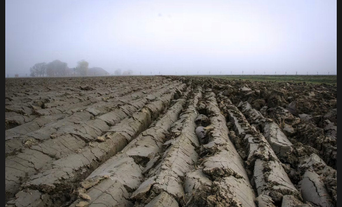 Gratis aanvulgrond (+/- 40 m3) - Gratis geleverd - eind 2026, Tuin en Terras, Ophalen