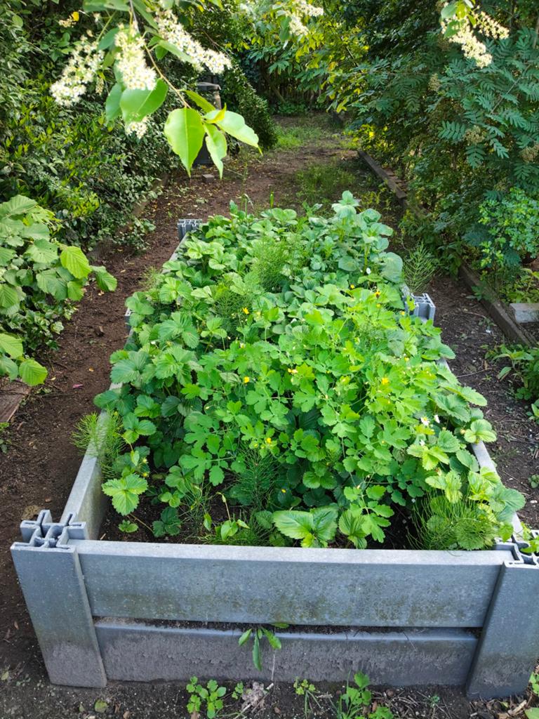 Grote bloembak composietplanken, Tuin en Terras, Ophalen
