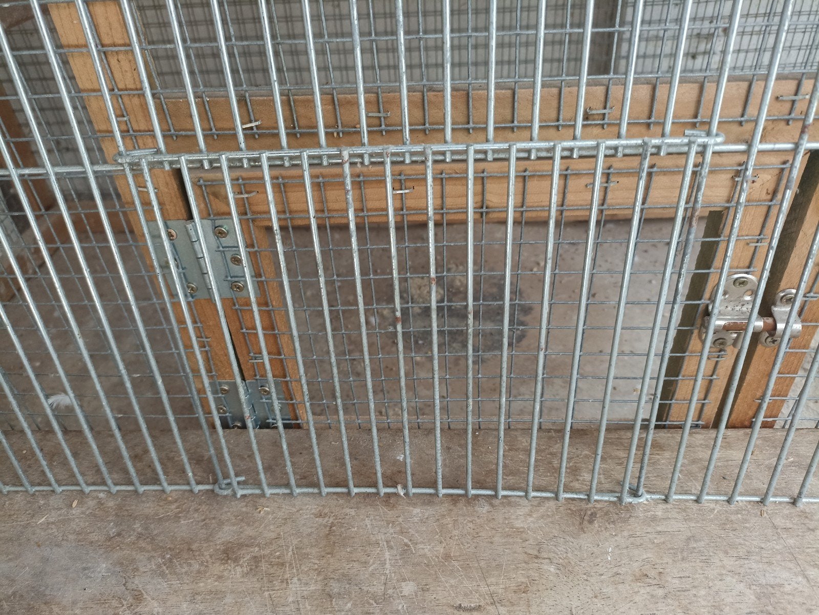 devant de cage pour grande perruche, Enlèvement, Utilisé