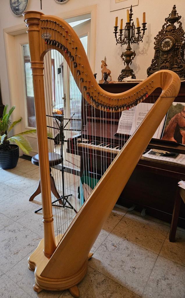Salvi Ana harp met 40 snaren. Goede staat., Muziek en Instrumenten, Snaarinstrumenten | Harpen, Ophalen of Verzenden
