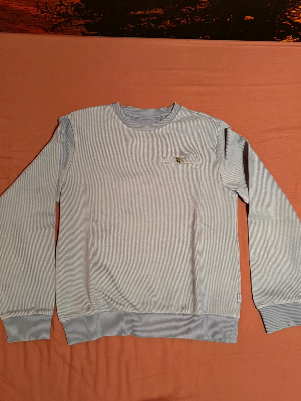 Sweater We maat 146-152, Kinderen en Baby's, Kinderkleding | Maat 146, Ophalen of Verzenden, Gebruikt