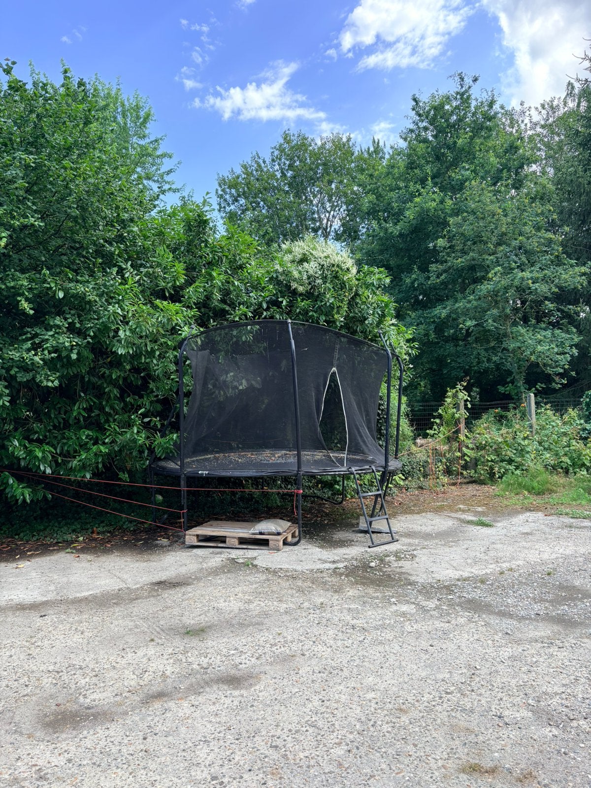 Trampolines, Enlèvement