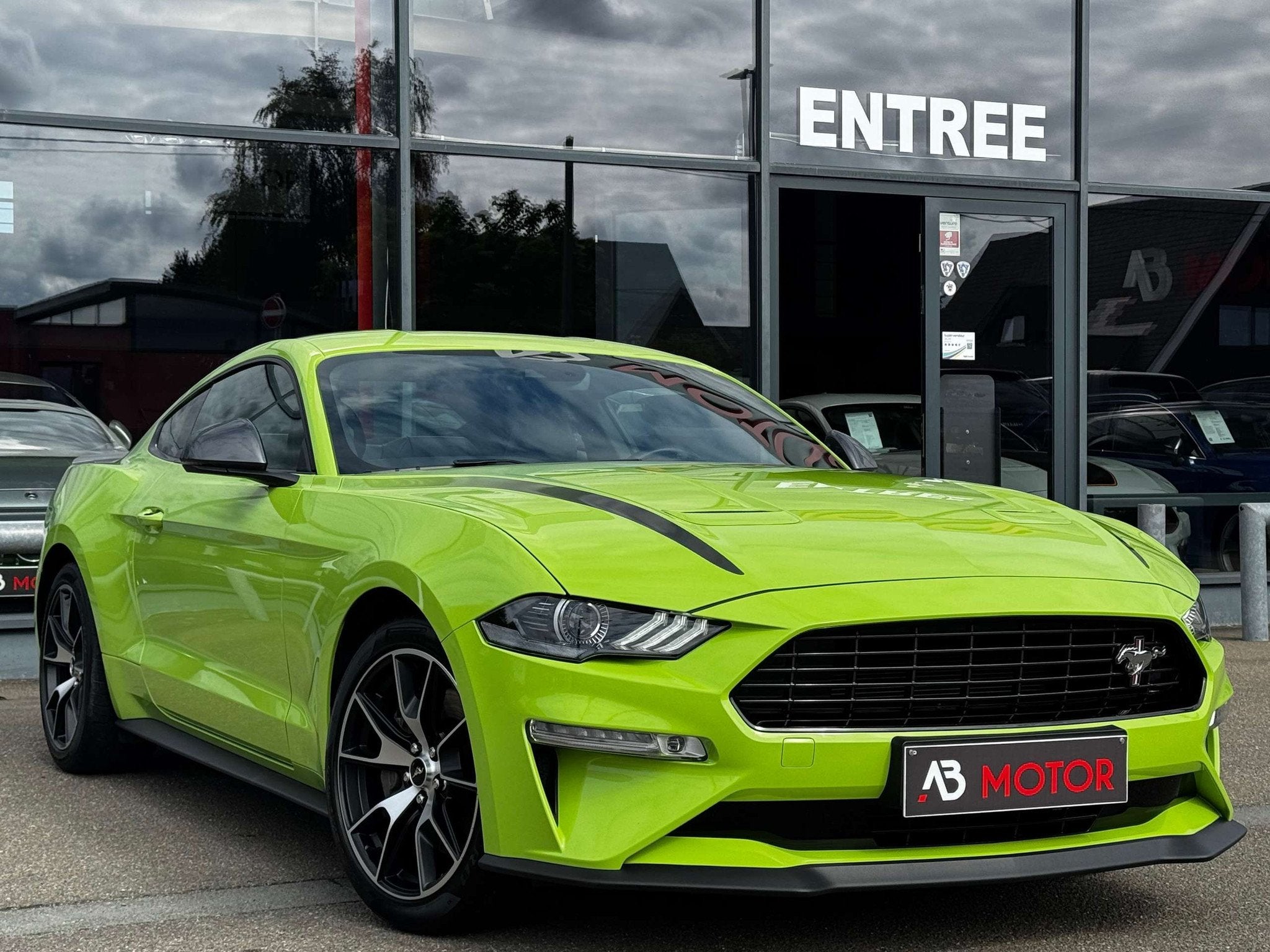 Ford Mustang 2.3EcoBoost Manual FIFTY FIVE Exhaust Cockpit 1, Cuir, Achat, Euro 6, Entreprise