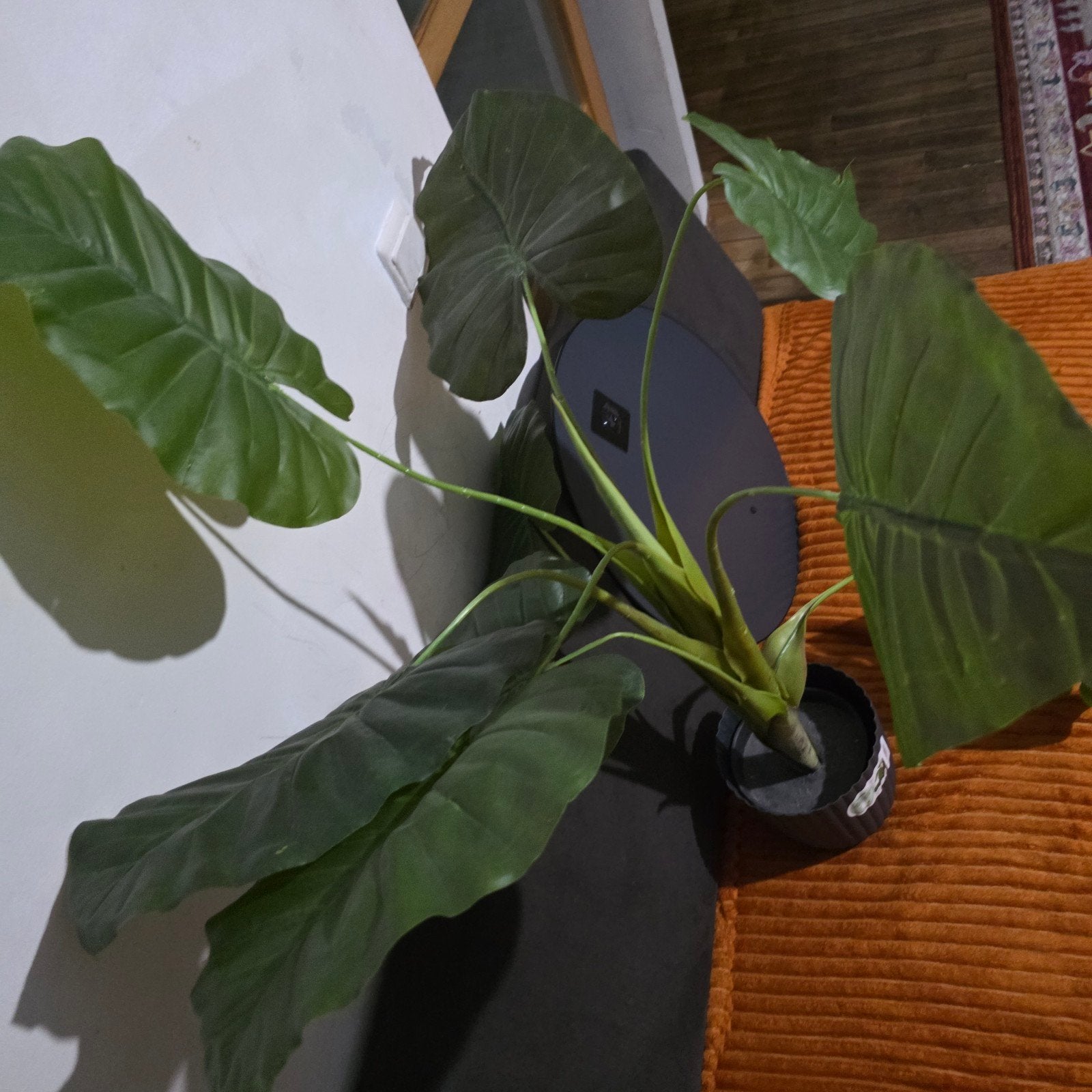 Sierboom met een spiegel, Tuin en Terras, Ophalen of Verzenden
