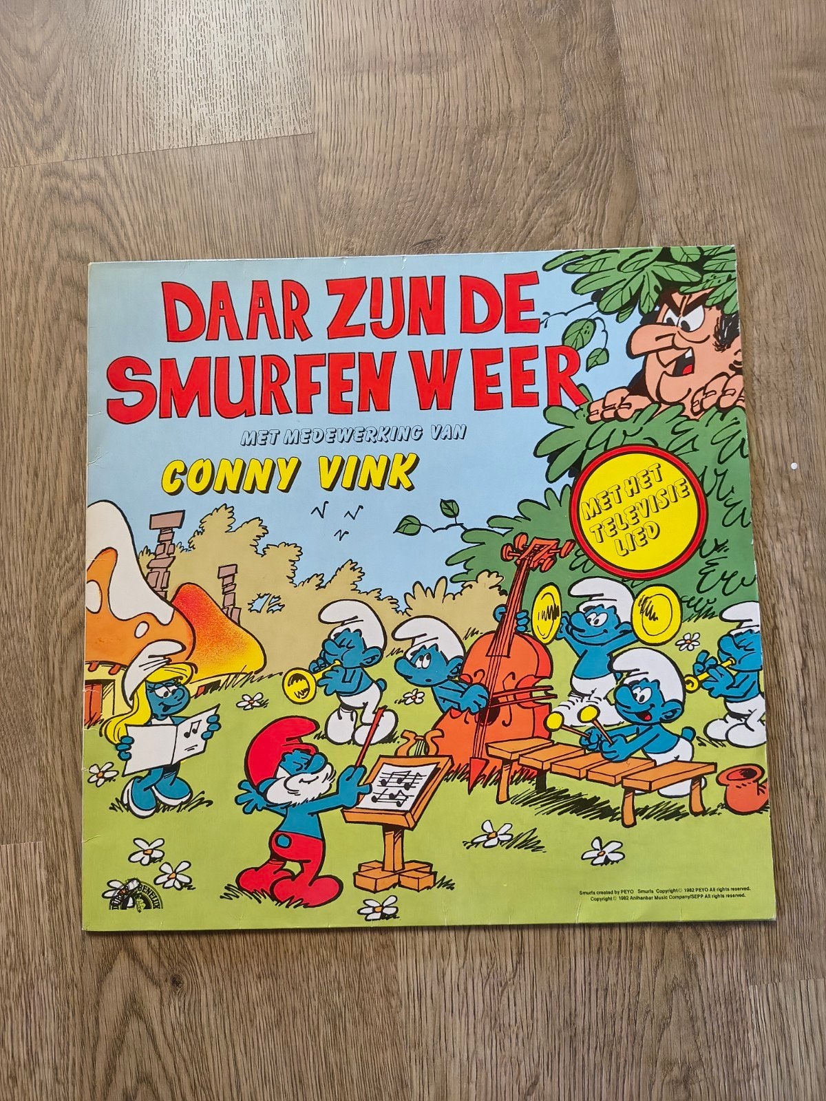 LP vinyl, Collections, Enlèvement ou Envoi