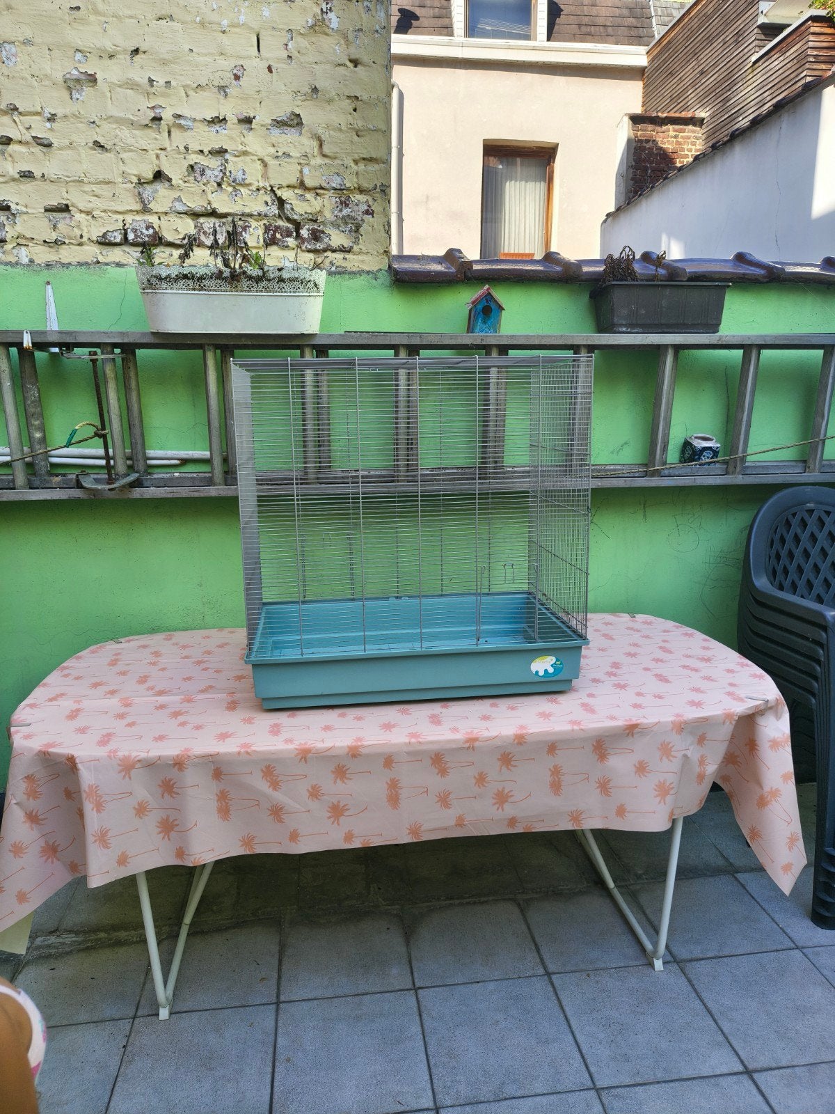 Cage xxl pour Rongeur Ferplast, Animaux & Accessoires, Enlèvement