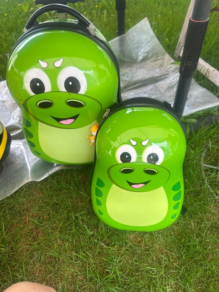 Trolley en rugzak, Handtassen en Accessoires, Tassen | Rugtassen, Ophalen, Zo goed als nieuw