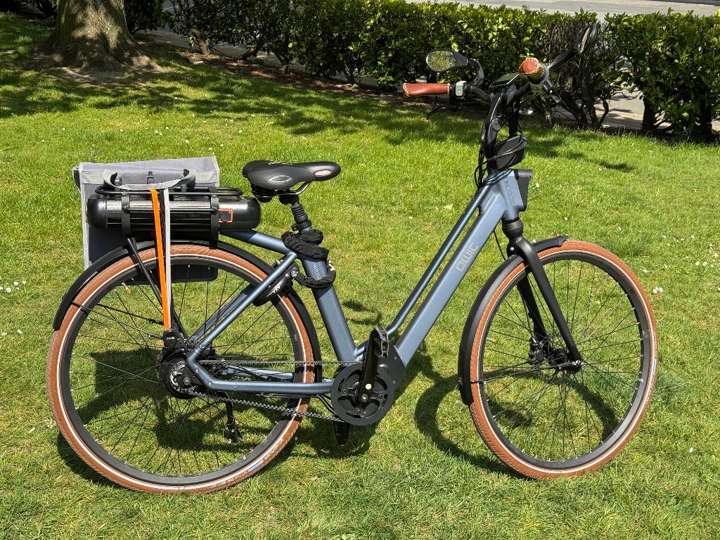 Elektrische damesfiets (Qwic Premium mn360), Fietsen en Brommers, Ophalen, Nieuw, Qwic