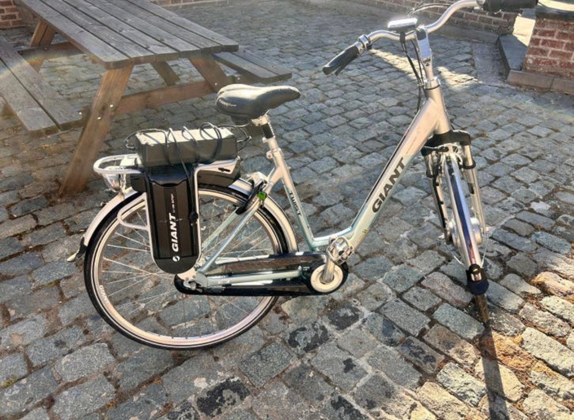 Giant e-bike, Ophalen, Zo goed als nieuw, Giant