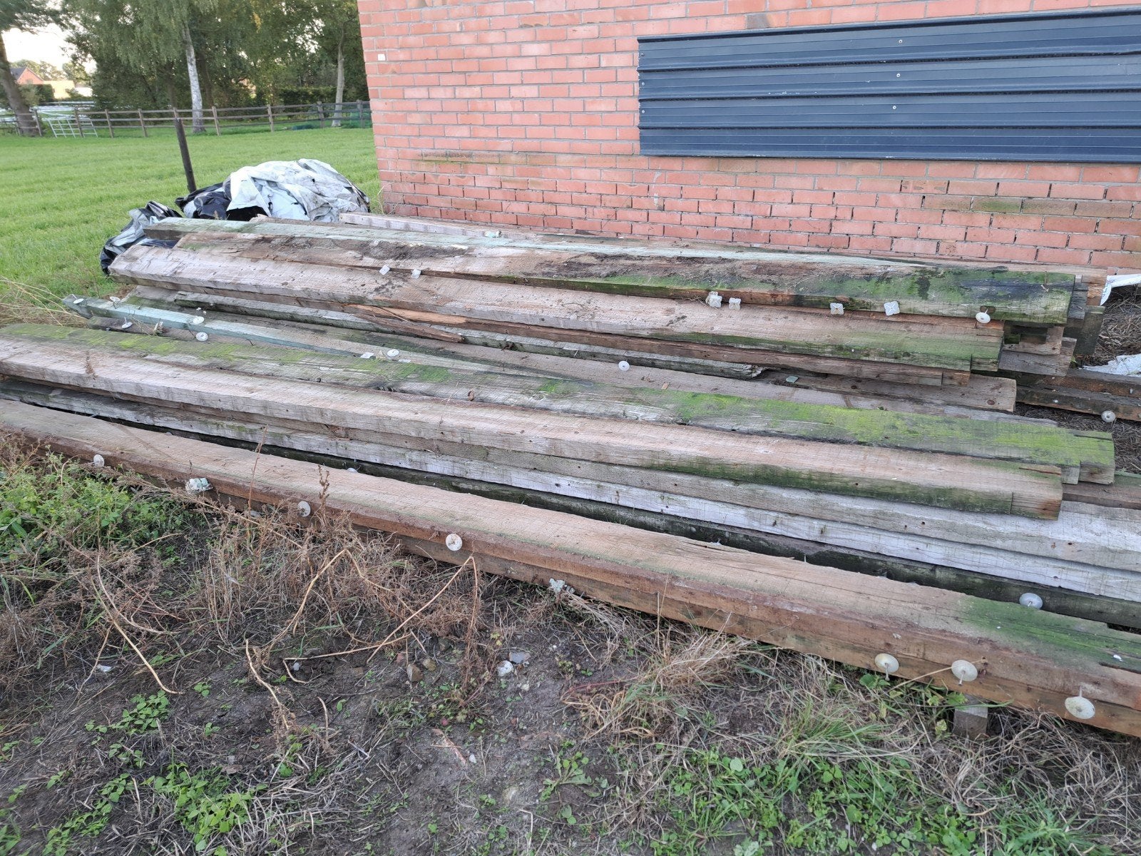 Houten Bruggen, Enlèvement, Utilisé, Imprégné, 25 à 50 mm