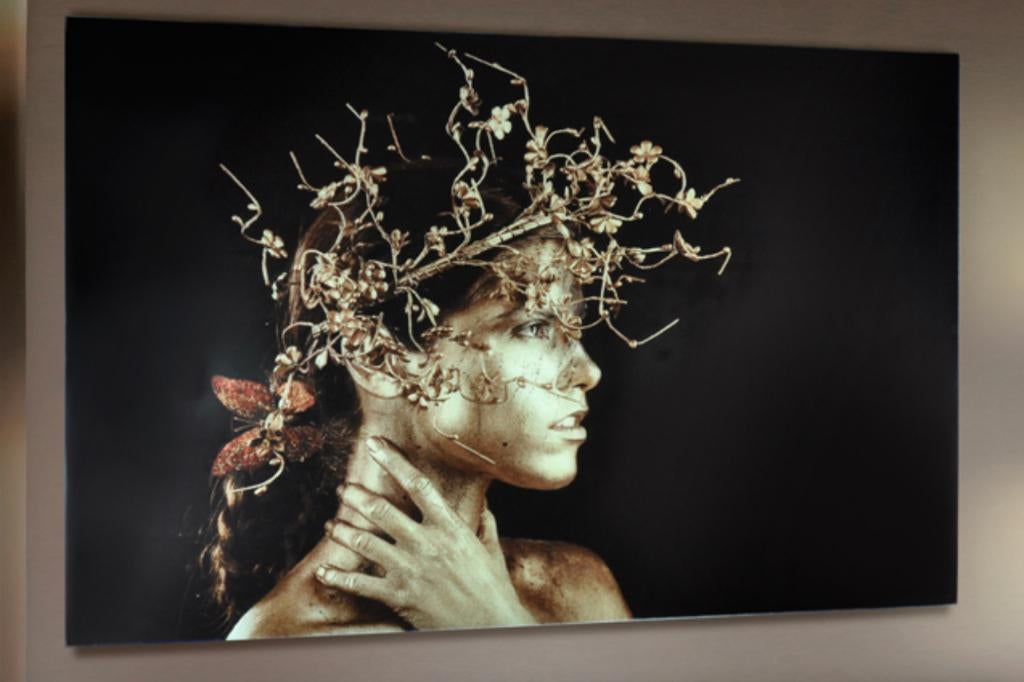 Exclusieve PRINT Dorada op gehard glas – foto 150x100, Neuf, Enlèvement, Imprimé, 75 cm ou plus