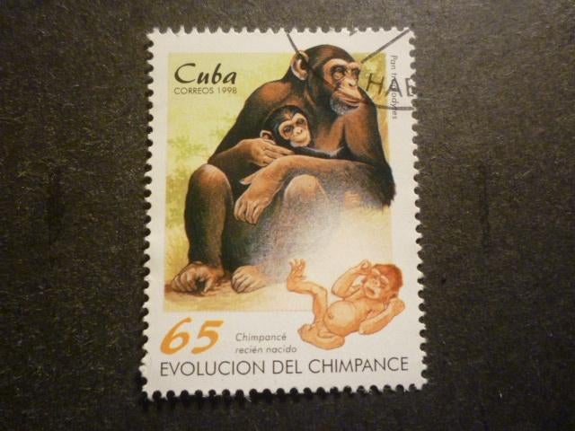 Cuba 1998 Mi 4109(o) Gestempeld/Oblitéré, Verzenden