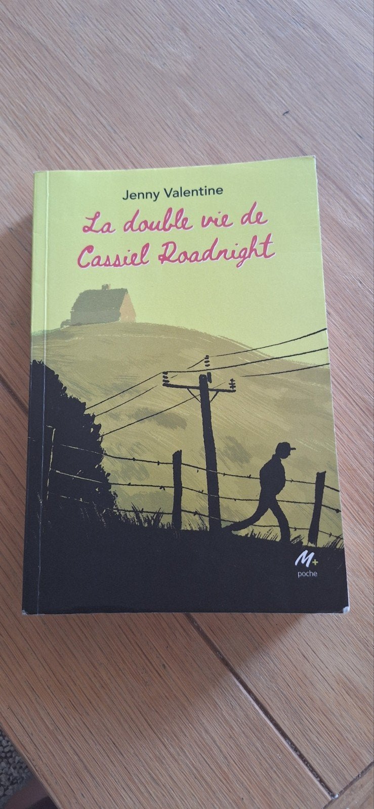 La double vie de cassiel roadright, Livres, Enlèvement ou Envoi