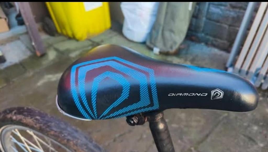 Vélo 100% Belge, Enlèvement, Utilisé, Diamond