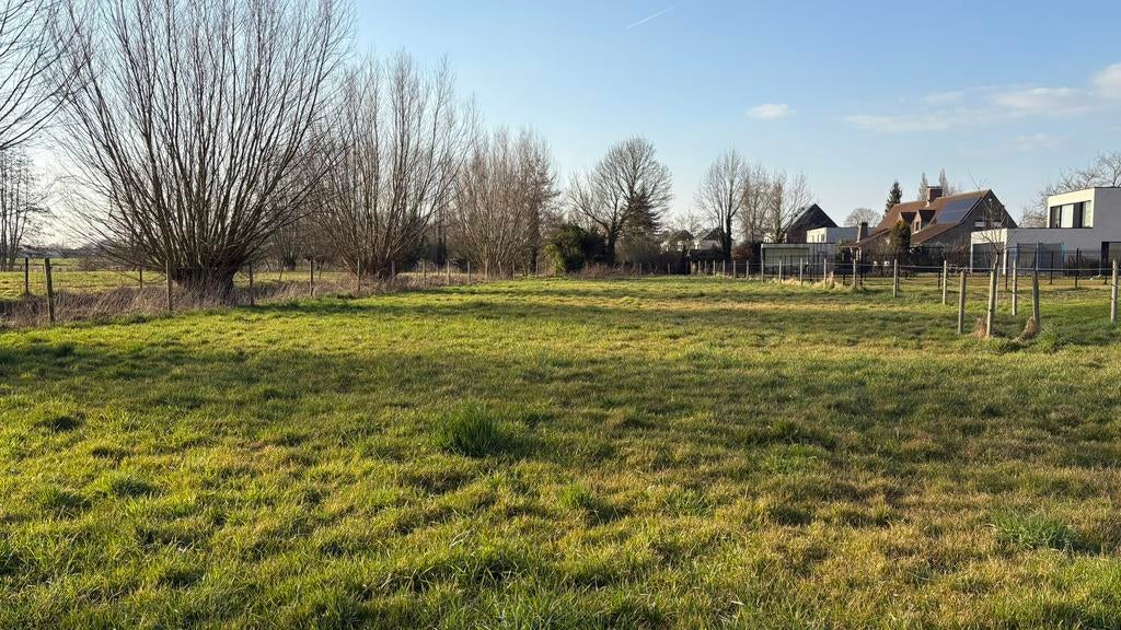 Weide te huur in Drongen, Dieren en Toebehoren, Weidegang, 1 paard of pony