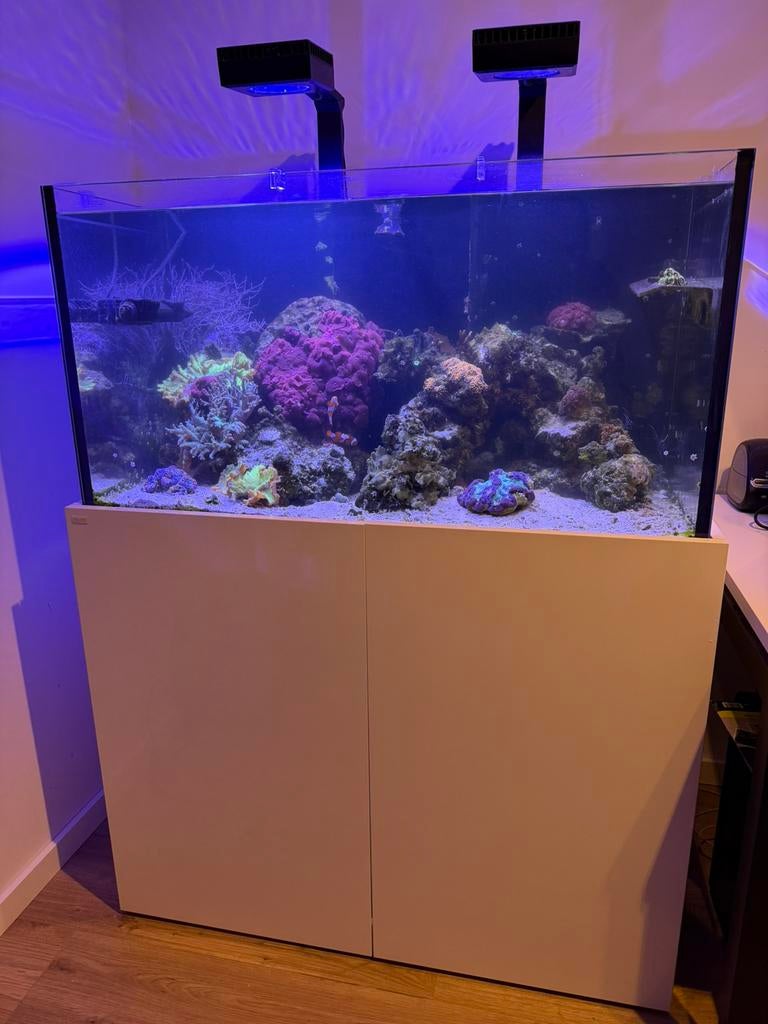 Aquaja 400 diamond reef aquarium met levende have., Dieren en Toebehoren, Ophalen, Gevuld zeewateraquarium, Gebruikt, Pomp