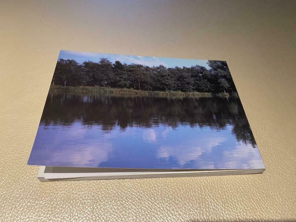 Luk Van Soom artistbook 100pag, Ophalen of Verzenden, Zo goed als nieuw, Beeldhouwkunst