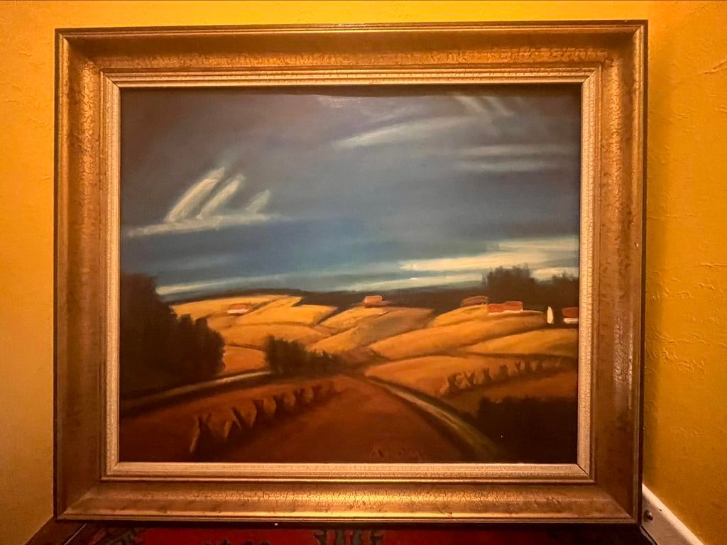 Groot schilderij KVDM Karel Van De Meirsch Aalst KOOPJE, Ophalen