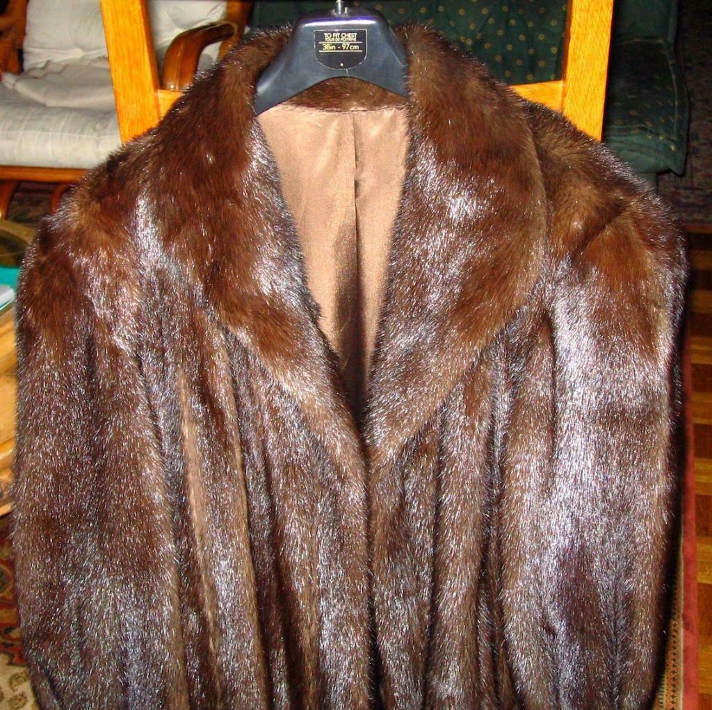 Donkerbruine, glanzende nerts - Maat 46, Ophalen of Verzenden, Zo goed als nieuw, Maat 46/48 (XL) of groter, Bruin