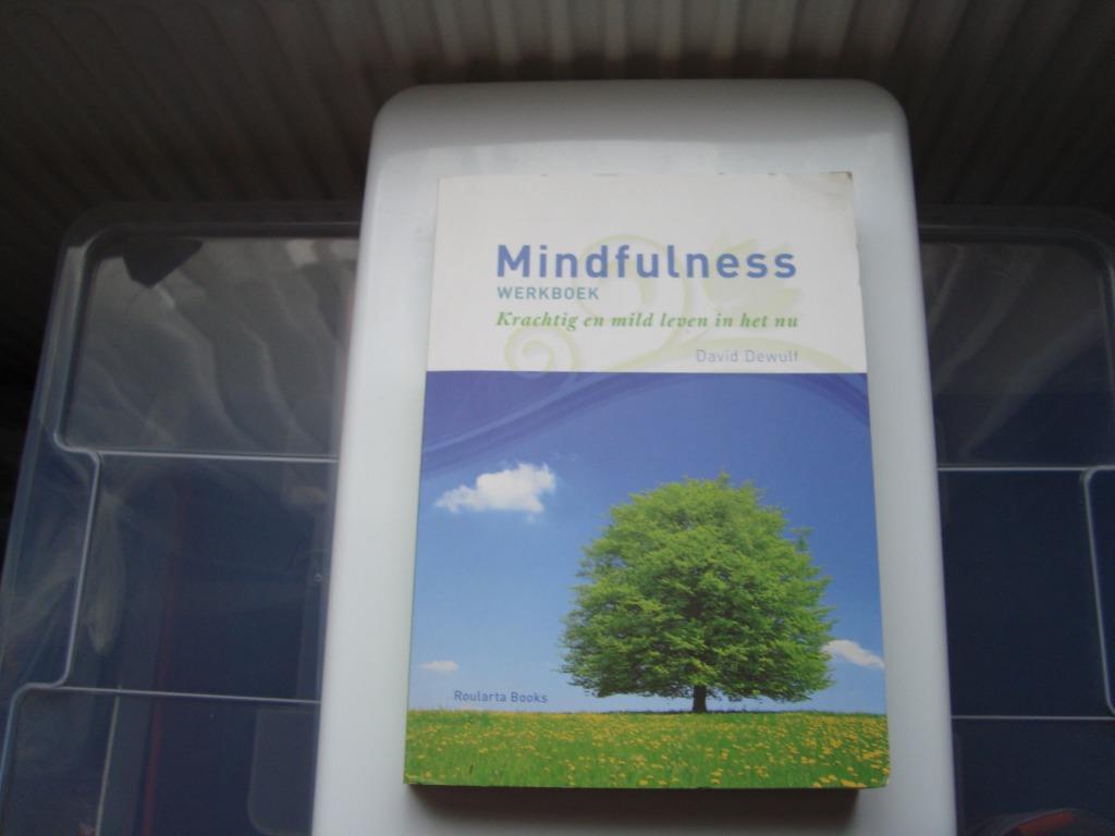 Mindfulness werkboek, Boeken, Psychologie, Ophalen of Verzenden, Gelezen, David Dewulf