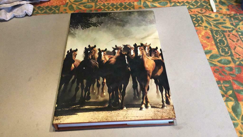 Artis historia onze paarden (zk6), Boeken, Ophalen of Verzenden, Zo goed als nieuw, Artis Historia, Plaatjesalbum