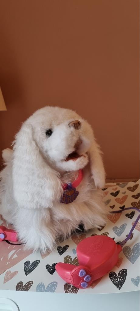Furreal friends hond met leiband, Ophalen