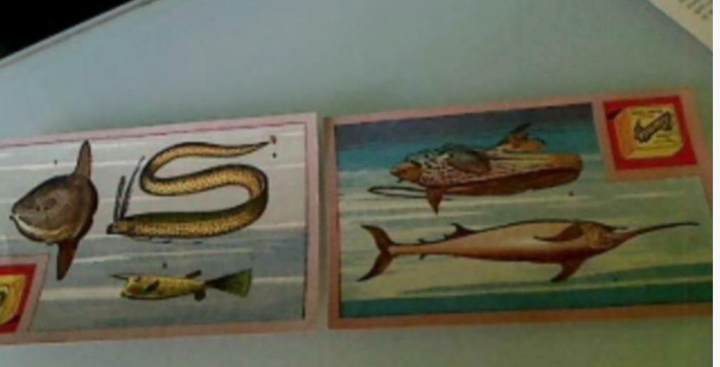 Anciens chromos "BRUNITA" Poissons, Collections, Enlèvement ou Envoi