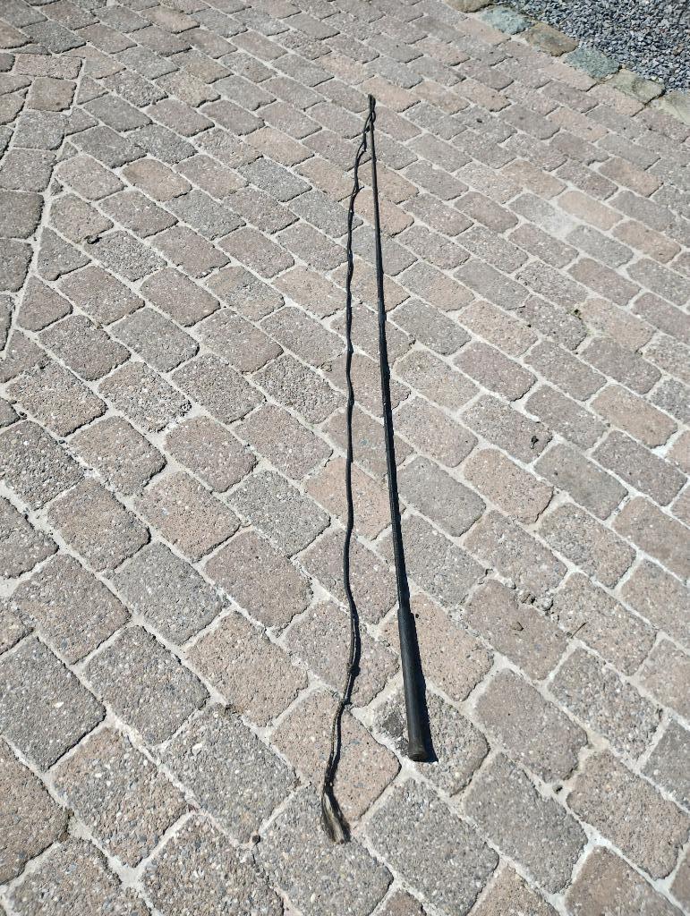 fouet fendu, Enlèvement, Utilisé, Autres espèces