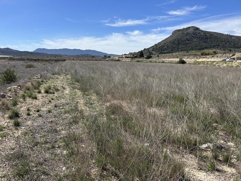 CC0619 - Belle parcelle entre La Romana et Hondon, Immo, Étranger, Terrain ou Parcelle, La Romana, Espagne, Campagne